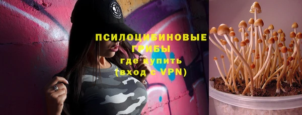 ешки Бородино