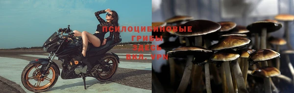 ешки Бородино