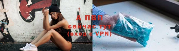 ешки Бородино