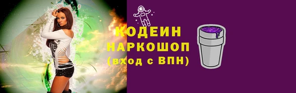 ешки Бородино
