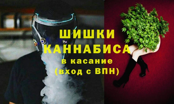 ешки Бородино