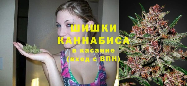 ешки Бородино