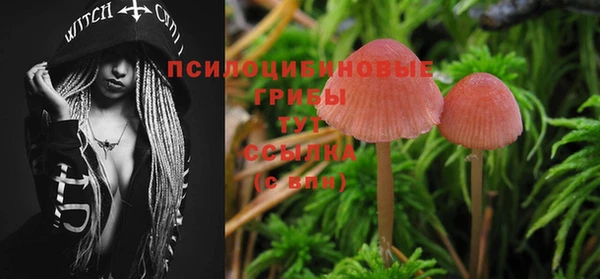 соль курить ск Бугульма