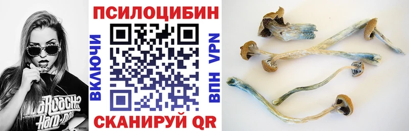 Галлюциногенные грибы ЛСД  blacksprut ссылки  Чусовой 